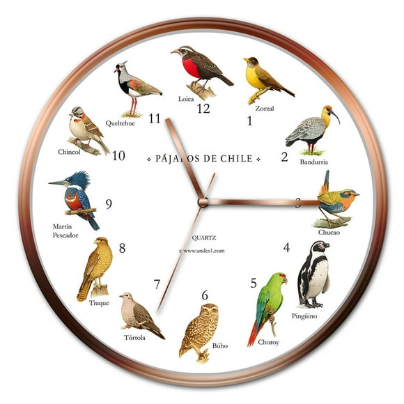 Reloj De Pájaros