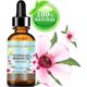 thumbnail image 2 of Aceite de Manuka Botanical Beauty 30 ml Natural Virgen Prensado en Frío, 2 of 8
