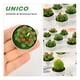 thumbnail image 2 of Pack 12 velas aromáticas cactus decorativas verde, 2 of 3