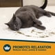 thumbnail image 5 of Tarro Catnip OurPet's Premium de 66 ml de alta potencia, 100% natural, 5 of 8