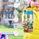 thumbnail image 5 of Botella de Agua Infantil Gigantosaurus Azul 350 ml, 5 of 6