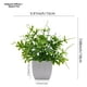 thumbnail image 3 of Plantas Artificiales De Interior Conjunto De 6 Pequeñas Plantas Falsas En Macetas Planta De Casa Falsa Para La Decoración Del Hogar, 3 of 3