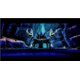 thumbnail image 3 of Videojuego Nintendo Isla Calavera: El Ascenso de Kong, 3 of 8