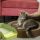 thumbnail image 3 of Caja De Arena Pequeño Gatos Mascotas Hogar Aseo Higiene Lau, 3 of 3