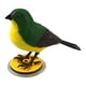 thumbnail image 4 of Juguetes Educativos De Música De Pájaro Controlado Con Voz Para Niños Parrot Para Bebés Para Bebés, 4 of 5