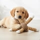 thumbnail image 4 of Peluche Para Mascotas Juguete Para Perro Interactivo Chillon, 4 of 4