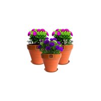 Mestiza - Set De 3 Maceta Kony 15Cm Terra Mandarina Y Sus Platos