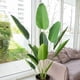 thumbnail image 3 of Planta Artificial Decorativa Arbol Grande Ave Paraiso 180cm, 3 of 11