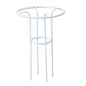 Ioensy - Enrejado De Soporte Para Plantas Trepadoras, Jaula Para Tomates, Para Plantas Trepadoras, Flores Y Rosas, 70 Cm, Color Blanco