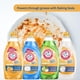 thumbnail image 4 of Jabón para lavar platos Arm & Hammer 710 ml Aroma Manzana Fresca, 4 of 5
