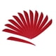 thumbnail image 4 of 12 piezas de 5 pulgadas Fletching Flecha plumas de tiro con arco pavo plumas rojas, 4 of 5