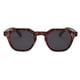 thumbnail image 1 of Lentes Sol Mujer Hombre Polarizado Original Springfield Café, 1 of 6