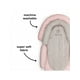 thumbnail image 3 of Almohada y Apoya Cabeza para Bebé Rosado / Marfil (), 3 of 4