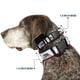 thumbnail image 2 of Collar para Perro Buckle-Down con Bandera de California 46-81 cm de Ancho, 2 of 8