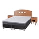 thumbnail image 2 of Box Spring Ortopedic Advance 2 Plaza Base Dividida, 2 of 6