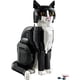 thumbnail image 2 of GATO BICOLOR, 2 of 3