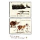 thumbnail image 5 of Dibujar animales y comprenderlos, 5 of 8