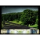 thumbnail image 5 of Incienso Tulasi Foest (Caja de 120), 5 of 6