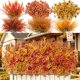 thumbnail image 1 of Flores artificiales Alupssuc 24 piezas para decoración exterior, 1 of 9