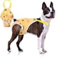 thumbnail image 1 of Pañales para perros Pantie sanitaria lavable femenina con suspensión ajustable, pañales perros reutilizables para perros masculinos en calor, hojas amarillas (hojas amarillas M), 1 of 3