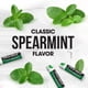 thumbnail image 4 of Bálsamo labial ChapStick Classic Spearmint, 4,4 ml (paquete de 12), 4 of 9