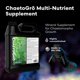 thumbnail image 2 of Suplemento para Acuario Brightwell Aquatics ChaetoGro 2 L, 2 of 7