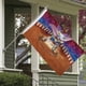 thumbnail image 3 of Dumbo Bandera impresa con temática, regalo perfecto para fanáticos, amigos y familiares, y adecuada para actividades al aire libre e interiores, decoraciones de fiesta. 90 cm × 150 cm., 3 of 6