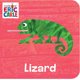 thumbnail image 2 of Libro Inglés Eric Carle 12 Libros de Animales Hardcover, 2 of 3