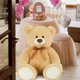 thumbnail image 3 of Peluche Morismos, oso de peluche gigante, 90 cm, color marrón claro, 3 of 9