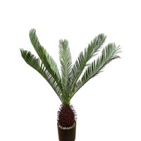 Corel - Planta Decorativa Palmera Cyca 110 Cm