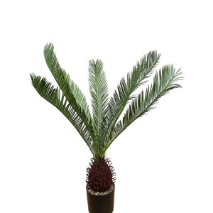 Corel - Planta Decorativa Palmera Cyca 110 Cm
