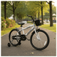thumbnail image 3 of Bicicleta Aro 20 Infantil Con Ruedas De Aprendizaje Blanco, 3 of 5