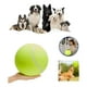 thumbnail image 1 of 24cm Gigante Pelota De Tenis Para Mascota Grande Perros Amarillo, 1 of 7