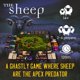 thumbnail image 2 of Juego de mesa ZERO STRATEGY GAMES The Sheep Co‑op, 2 of 6