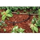 thumbnail image 3 of Tubo de riego por goteo Rain Bird T22-250S, rollo de 76 m, negro, 3 of 4