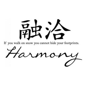 Rienda Libre Graphics - Decomural Harmony Chinese Symbol Ws-34121