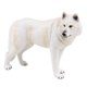 thumbnail image 3 of Figuras De Animales De Simulación Colecciones De Juguetes En Miniatura Para Goodie Bag Stuffers Wolf White, 3 of 5