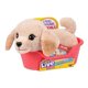 thumbnail image 4 of Little Live Pets S2 Cachorro Mini - Buddy, 4 of 5