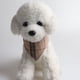 thumbnail image 3 of Collar a cuadros con lazo para perro, el mejor regalo para perros machos pequeños, medianos y grandes, beige y marrón., 3 of 5