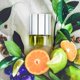 thumbnail image 2 of Perfume N.C.P 101 Flor de Clementina y Violeta, 50 ml, unisex, 2 of 5
