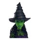 thumbnail image 3 of Muñeca Wicked Elphaba, 3 of 5