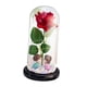 thumbnail image 2 of Regalos De Flores De Rosas Decoración Romántica De San Valentín Rosa Iluminada En Cúpula De Cristal Base Negra Besos, 2 of 5