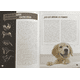 thumbnail image 4 of El libro de los Porqués, 4 of 5