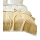 thumbnail image 2 of Frazada Otoño Invierno Con Chiporro 1.5 Plaza Beige Claro, 2 of 3