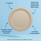 thumbnail image 2 of Platos de Papel World Centric Compostables 23 cm Paquete de 20, 2 of 6