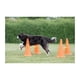 thumbnail image 3 of Set TRIXIE de conos Dog Agility Hurdle para principiantes y avanzados, 3 of 7