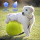 thumbnail image 2 of Pelota de tenis Banfeng Giant para perros pequeños, medianos y grandes, 9.5 pulgadas, 2 of 6