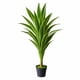 thumbnail image 4 of Drácaena Artificial Grande 160 cm Planta Decorativa Interior, 4 of 4