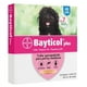 thumbnail image 1 of Collar Antiparasitario Perro Mediano 48cm - Bayer, 1 of 2