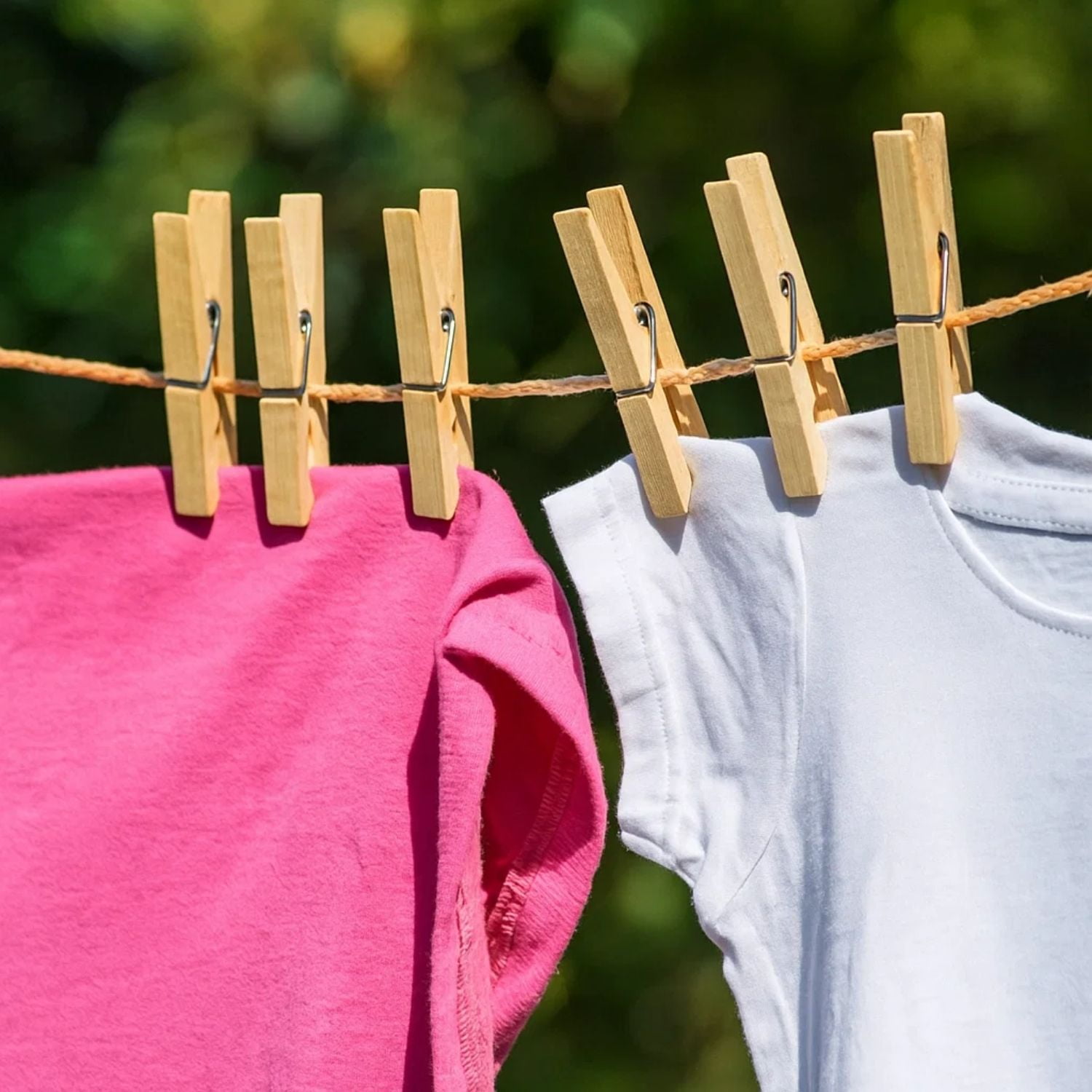 Store Montt Spa - Set 20 Palos De Ropa Colgadores Pinzas De Madera